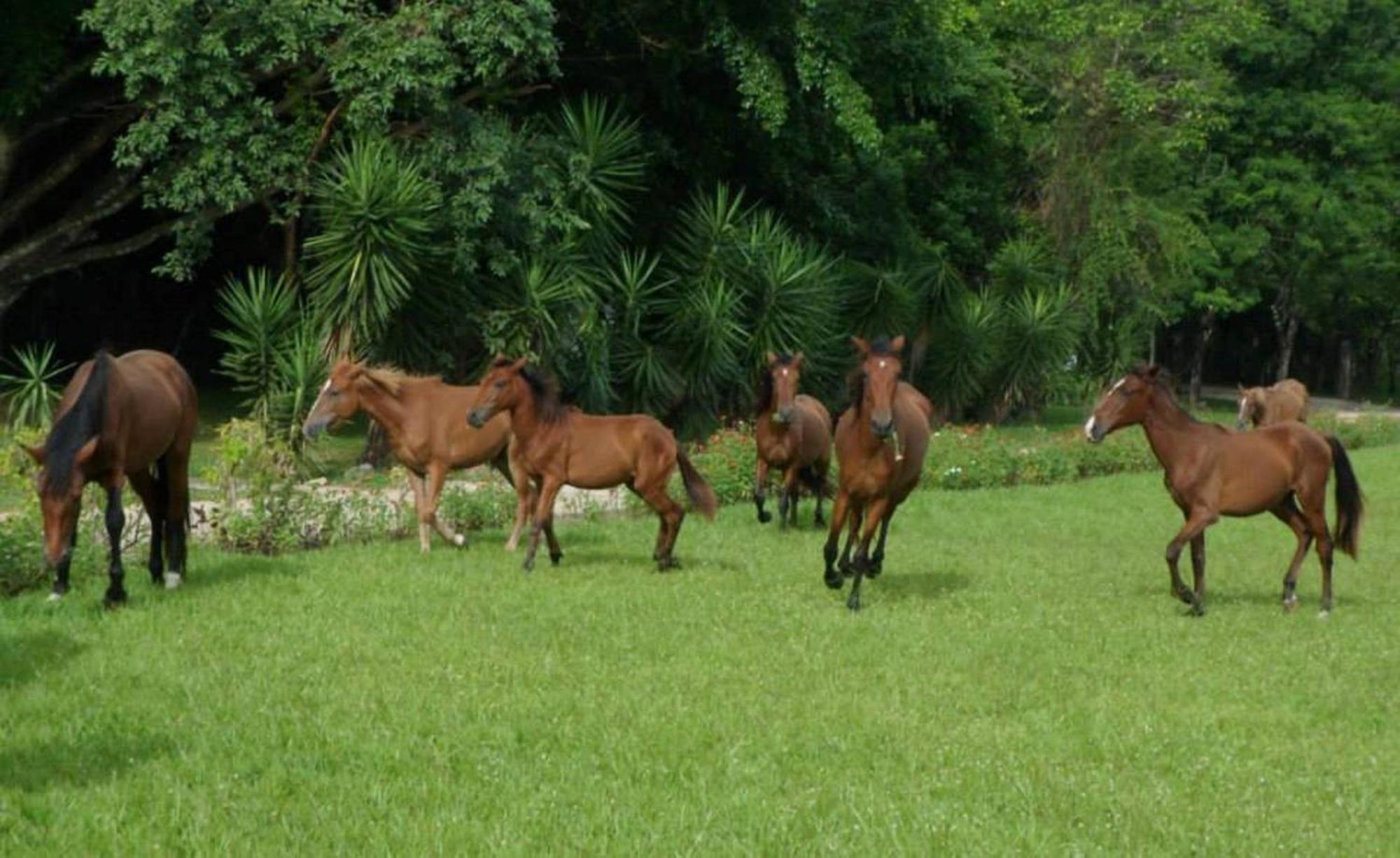 Finca Ixobel Exterior photo